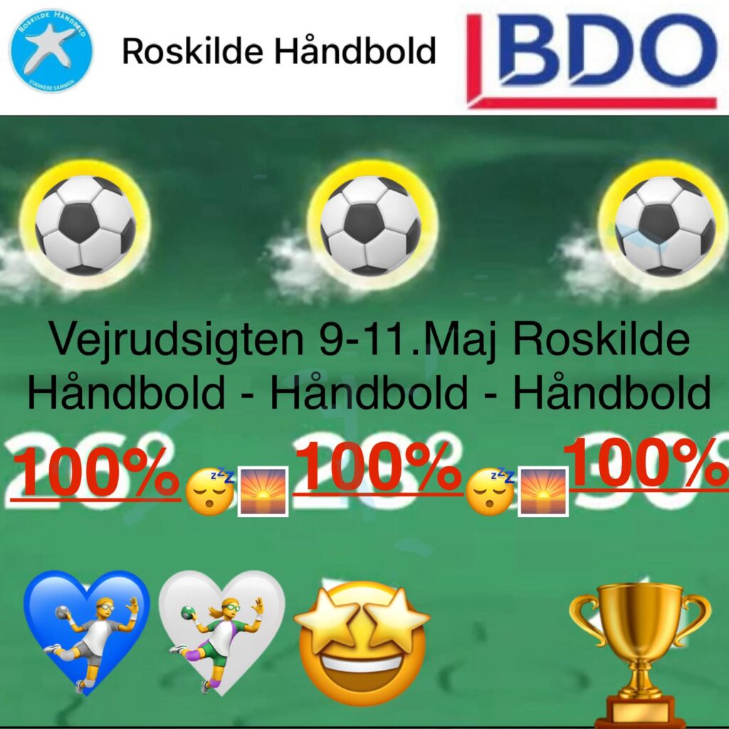 vejrudsigten