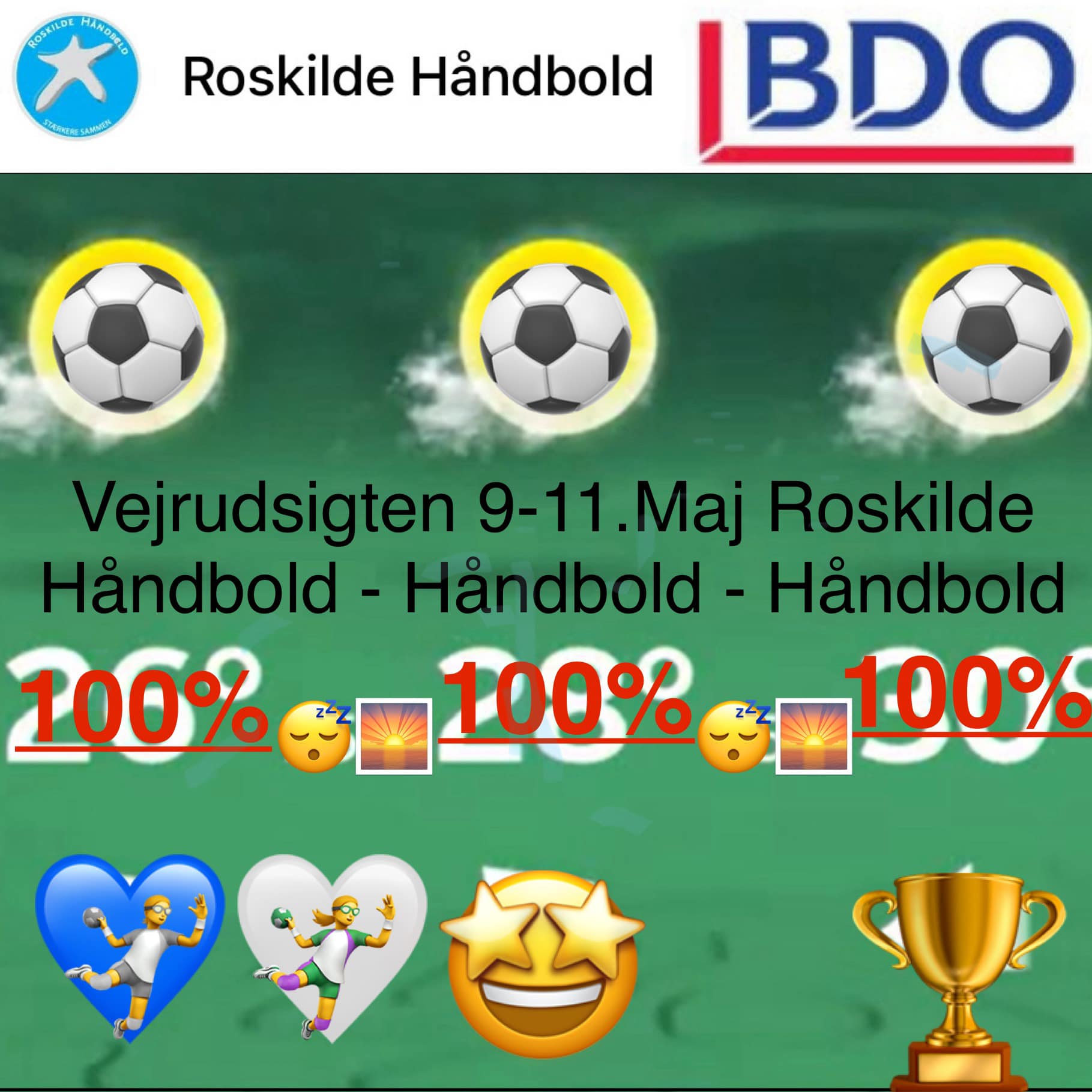 vejrudsigten